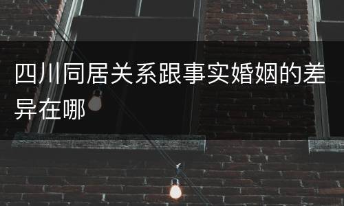 四川同居关系跟事实婚姻的差异在哪