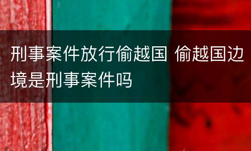 刑事案件放行偷越国 偷越国边境是刑事案件吗