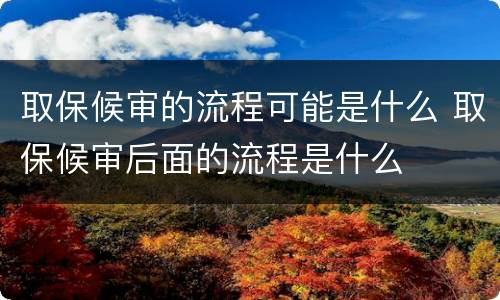 取保候审的流程可能是什么 取保候审后面的流程是什么