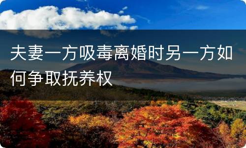夫妻一方吸毒离婚时另一方如何争取抚养权