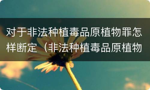 对于非法种植毒品原植物罪怎样断定（非法种植毒品原植物罪情节严重的三种情形是什么）