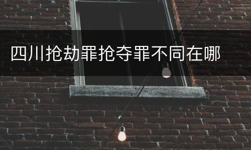 四川抢劫罪抢夺罪不同在哪