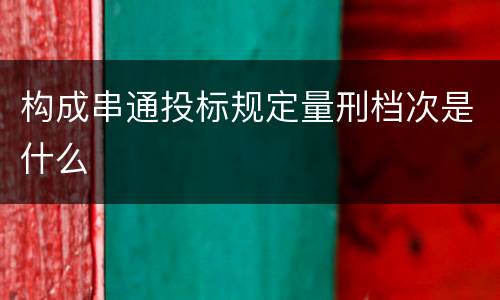 构成串通投标规定量刑档次是什么