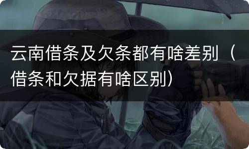 云南借条及欠条都有啥差别（借条和欠据有啥区别）