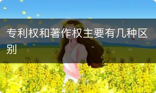 专利权和著作权主要有几种区别