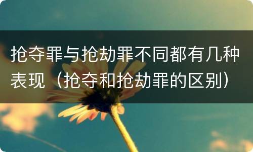 抢夺罪与抢劫罪不同都有几种表现（抢夺和抢劫罪的区别）