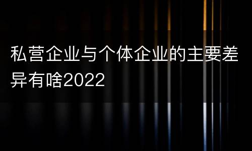 私营企业与个体企业的主要差异有啥2022