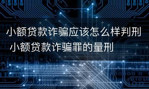 小额贷款诈骗应该怎么样判刑 小额贷款诈骗罪的量刑