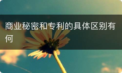 商业秘密和专利的具体区别有何