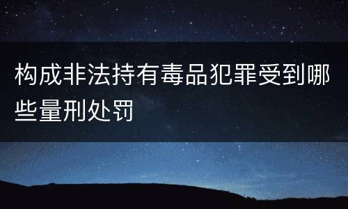 构成非法持有毒品犯罪受到哪些量刑处罚