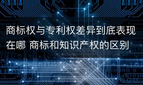 商标权与专利权差异到底表现在哪 商标和知识产权的区别