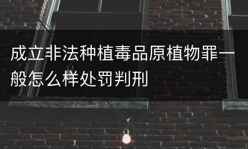 成立非法种植毒品原植物罪一般怎么样处罚判刑