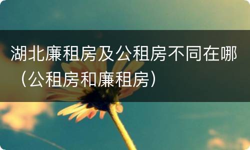 湖北廉租房及公租房不同在哪（公租房和廉租房）