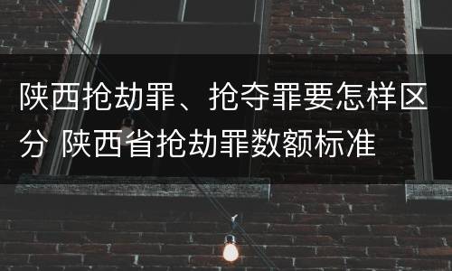 陕西抢劫罪、抢夺罪要怎样区分 陕西省抢劫罪数额标准