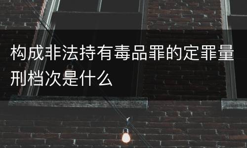 构成非法持有毒品罪的定罪量刑档次是什么