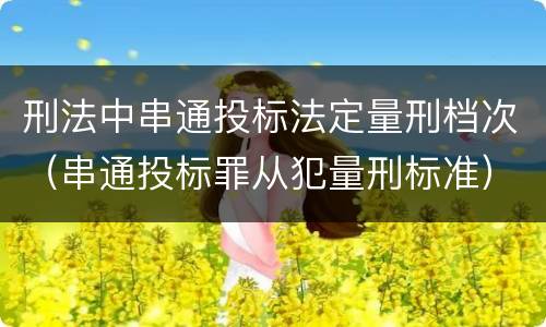 刑法中串通投标法定量刑档次（串通投标罪从犯量刑标准）
