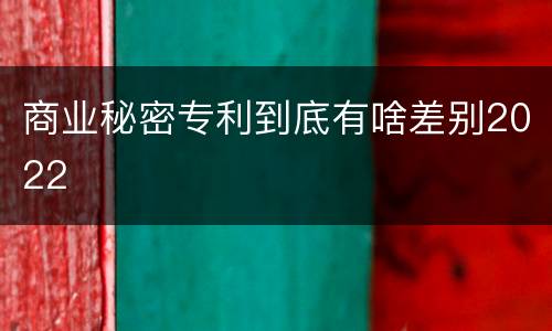商业秘密专利到底有啥差别2022