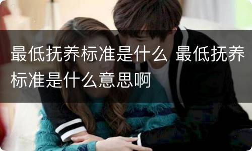 最低抚养标准是什么 最低抚养标准是什么意思啊