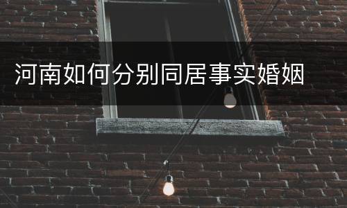 河南如何分别同居事实婚姻