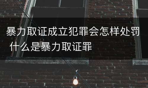 暴力取证成立犯罪会怎样处罚 什么是暴力取证罪