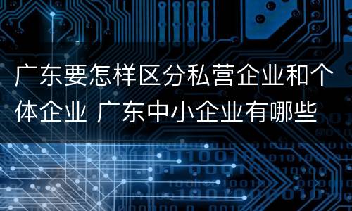 广东要怎样区分私营企业和个体企业 广东中小企业有哪些
