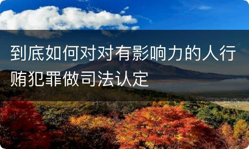 到底如何对对有影响力的人行贿犯罪做司法认定