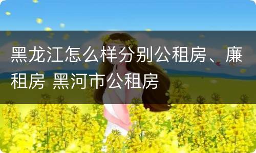 黑龙江怎么样分别公租房、廉租房 黑河市公租房