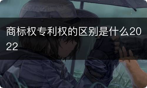 商标权专利权的区别是什么2022