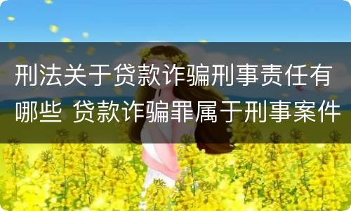 刑法关于贷款诈骗刑事责任有哪些 贷款诈骗罪属于刑事案件吗