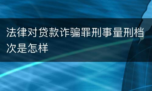法律对贷款诈骗罪刑事量刑档次是怎样