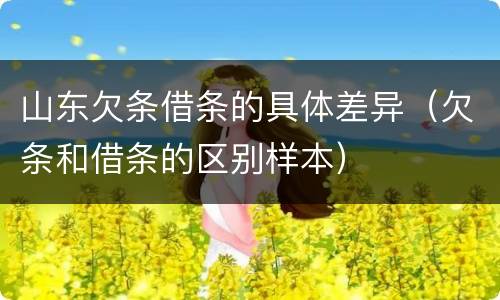 山东欠条借条的具体差异（欠条和借条的区别样本）