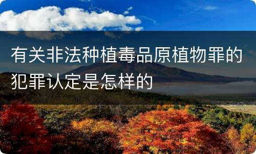有关非法种植毒品原植物罪的犯罪认定是怎样的