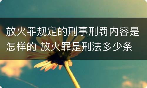 放火罪规定的刑事刑罚内容是怎样的 放火罪是刑法多少条