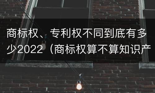 商标权、专利权不同到底有多少2022（商标权算不算知识产权）