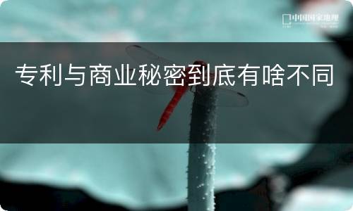 专利与商业秘密到底有啥不同