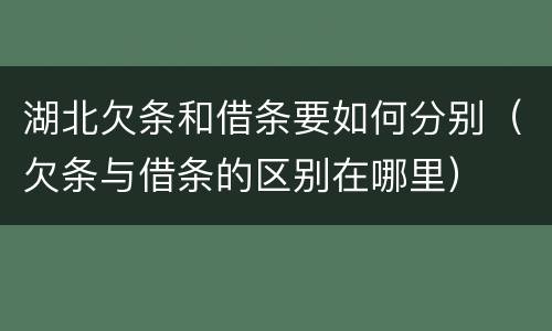 湖北欠条和借条要如何分别（欠条与借条的区别在哪里）