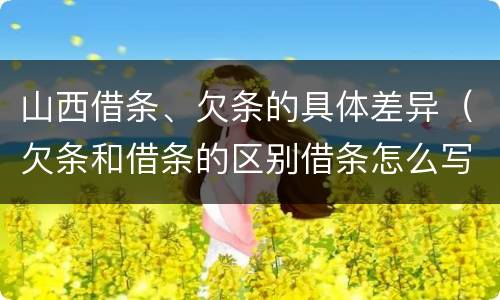山西借条、欠条的具体差异（欠条和借条的区别借条怎么写）