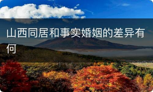 山西同居和事实婚姻的差异有何