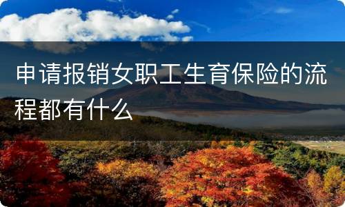 申请报销女职工生育保险的流程都有什么