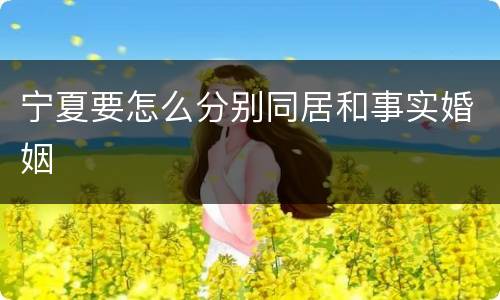 宁夏要怎么分别同居和事实婚姻