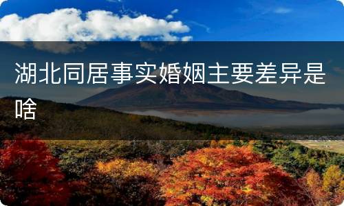 湖北同居事实婚姻主要差异是啥