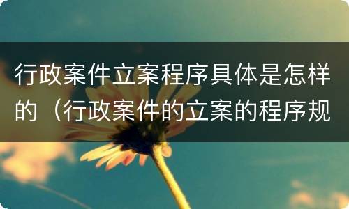 行政案件立案程序具体是怎样的（行政案件的立案的程序规定）