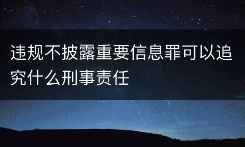 违规不披露重要信息罪可以追究什么刑事责任