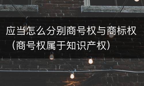 应当怎么分别商号权与商标权（商号权属于知识产权）