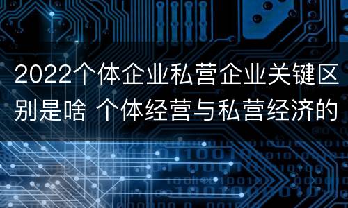 2022个体企业私营企业关键区别是啥 个体经营与私营经济的定义