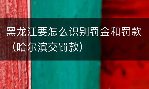黑龙江要怎么识别罚金和罚款（哈尔滨交罚款）