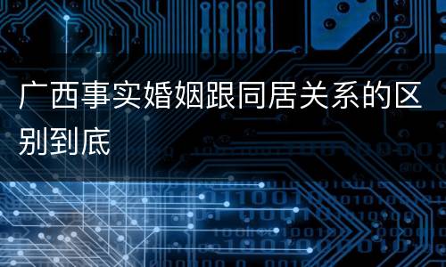 广西事实婚姻跟同居关系的区别到底