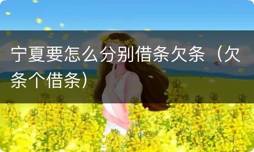 宁夏要怎么分别借条欠条（欠条个借条）