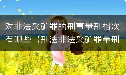 对非法采矿罪的刑事量刑档次有哪些（刑法非法采矿罪量刑标准）