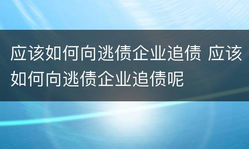 应该如何向逃债企业追债 应该如何向逃债企业追债呢